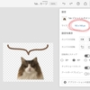 Adobe  frescoで小さいサイズの画像を作りたいときの対処法  