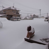 暴風雪警報