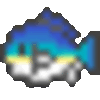 09/05/23の釣果
