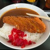 旅の始まりのチキンカツカレー