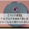 【ブログ運営】はてなブログを始めて6ヶ月！まさかこんなに続けられるとは！