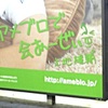 ららぽっぷ