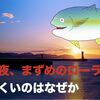 青物は夜は釣れず朝夕のローライトでもあまり釣れない理由