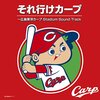 Salaries of NPB Hiroshima Toyo Carp Players in 2019