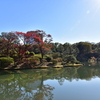 🍂六義園　２０１７年１１月末訪問です