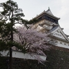 桜満開の小倉城