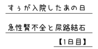 すぅが入院したあの日、急性腎不全と尿路結石【1日目】