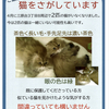 迷子のお知らせです💦
