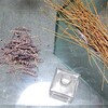今年も作ってみたラベンダーのスワッグ？ / 嶋屋のポテト