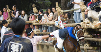 奇祭を超えたNO.１のおもしろさ！愛知県高浜市の馬の祭『おまんと祭り』