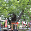 今宮神社　埼玉県秩父市中町16-10