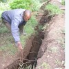 止まない大地の亀裂/シンクホール/異常な熱波や寒波/鳥の原因不明大量死....壊れ行く地球にも感じて