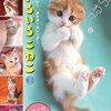 愛情表現ハンパない❗️飼い主ラヴなにゃんこがめっちゃかわいい❗️