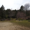 今週の風景