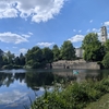 イギリスの後期研修・Academic Clinical Fellowship