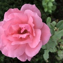 ミスト工房 いろいろハンドメイド