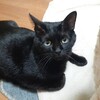 案ずるな 全て自らの手によってなされる