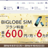 BIGLOBE 格安ＳＩＭレビュー