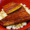 猛暑の金曜仕事上がりにご褒美！すき家でビール＆特うな丼を満喫した件