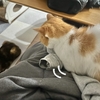 今朝のふみふみタイム。