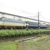 第2056列車　「　EF66 27、EF65 2085の京鉄博展示に伴う臨貨を狙う　」