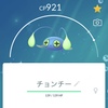 【ポケGO】色違いのチョンチーをゲットだぜ！