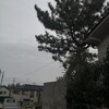 風邪か？インフルか？ダウンしました(*_*;