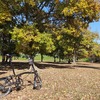 【秋晴れの週末】埼玉県の彩湖は紅葉が進んでいました【荒川サイクリングロード左岸】