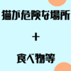 気をつけたい！何気に飼い猫が危険な場所（+食べ物等）