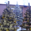 教会でのクリスマス会