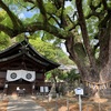 【樹齢９００年！？】艮神社でパワーをもらう【映画ロケ地】