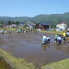 田植え体験