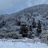 裏山の雪の状況を確認に