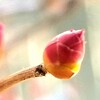 Yさんの得意は必殺おうむ返し