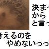 仮想通貨を通貨とするか資産とするか、考えた
