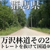 【車載動画】群馬県中之条町 万沢林道 その2 