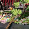 上野駅近くの下谷神社に初詣(？)に行った