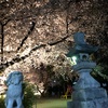 写真の腕はいろいろ試してるうちに少しずつ上達するもんですね。