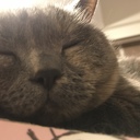 tomstudy’s blog