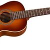 &@ Affordable Seagull Entourage Grand Acoustic Guitar Rustic For Sale Low cost