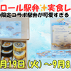 【シナモロール駅弁】JR東海限定コラボが可愛すぎる！実食レポ｜販売場所＆クリアカードの絵柄も紹介