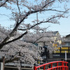 立木神社の春その１