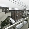 天の啓示か首都圏に降雪！