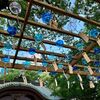 現人神社を七夕に再訪したら風鈴がたくさんあったよ