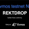 【COSMOS】Evmos REKTDROP前にテストネットNFTをゲットしよう‼️（2022.1.16）