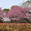 年祭を迎える覚悟一（四）