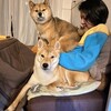 失ったものと得たもの