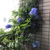 フラッと臨み、そして俯瞰で考え理解する