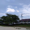暑い一日…