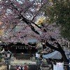 3月21日（金）五條天神社の桜、朝、夕に蕎麦、平日の帰り首都高激混み→下道コース